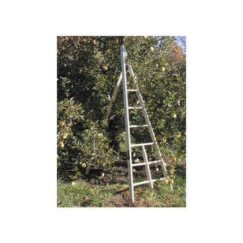 Baldwin Wooden Tripod Apple Ladders