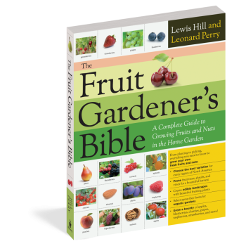 The Fruit Gardener