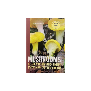 Mushrooms of Northeastern U.S.