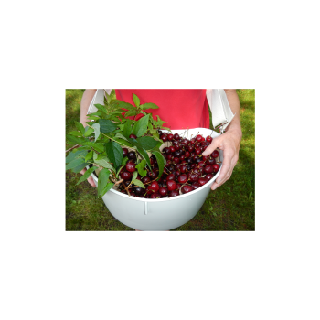 Cherry & Olive Buckets