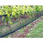 Vineyard Zone Netting